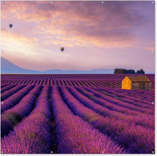 Tuinposter lavendel - Bloemen - Luchtballon - Paars - Landschap - Tuindecoratie - Tuinschilderij voor buiten - 200x200 cm - Schutting decoratie - Schuttingdoek - Tuin - Tuindoek - Buitenposter