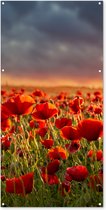 Tuinposter bloemen - Rood - Klaprozen - Zonsondergang - Natuur - Schuttingdoek - Tuin - Tuinschilderij voor buiten - Schutting decoratie - 80x160 cm - Tuindecoratie - Tuindoek