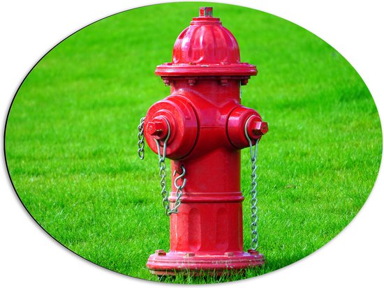 Dibond Ovaal - Rode Brandweerpaal in Groen Gras - 68x51 cm Foto op Ovaal (Met Ophangsysteem)