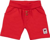 Frogs and Dogs - Short Garçons - Rouge - Taille 50/56
