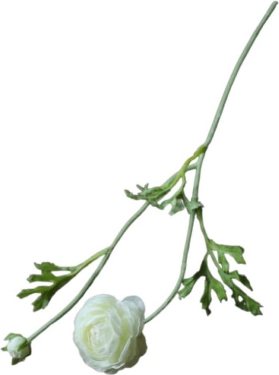 Ranonkel - Nooit meer onderhoud aan uw bloemen! - Nepbloemen - Kunstbloemen - Ranonkels - Pioenroos - Droogbloemen - Kunstbloemen voor Binnen - 38cm - Wit