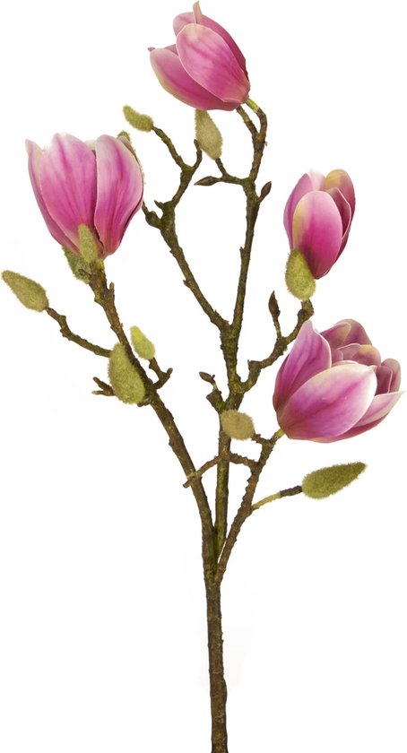 Emerald Silk Flower Fleur Artificielle Branche de Magnolia Fuchsia 92 cm 429562