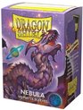 Afbeelding van het spelletje Dragonshield 100 Box Sleeves Matte Nebula