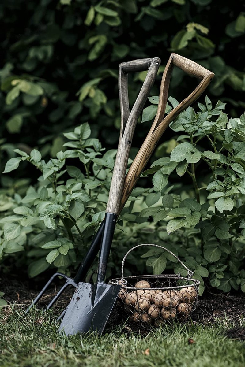 Bêche de haute qualité (83 cm) - Bêche racine de taille moyenne en acier  laqué noir 