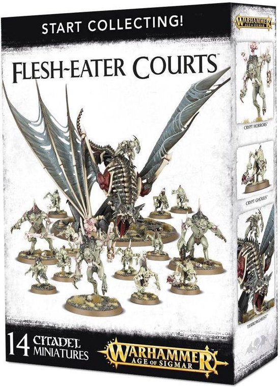 Afbeelding van het spel Age of Sigmar Flesh-Eater Courts Start Collecting Set