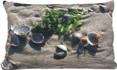 Sierkussen - Sea Shells - Multicolor - 30 Cm X 30 Cm