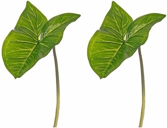 Feuille d'arum artificielle feuille verte branche 53 cm - Faux plantes /  branches... | bol
