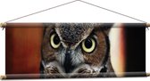 Textielposter - Booskijkende Oehoe Uil - 90x30 cm Foto op Textiel