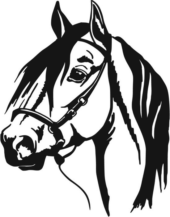 Sticker -paarden - Auto - Trailer - Paardenliefde - Aanhanger - Boerderij - Deursticker - Raamsticker - Paardenhoofd