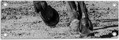 Tuinposter – Hoeven van Rennend Paard (Zwart- wit) - 60x20 cm Foto op Tuinposter (wanddecoratie voor buiten en binnen)