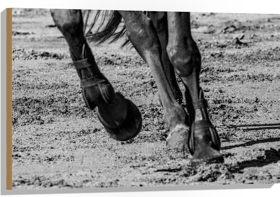 Hout - Hoeven van Rennend Paard (Zwart- wit) - 90x60 cm - 9 mm dik - Foto op Hout (Met Ophangsysteem)