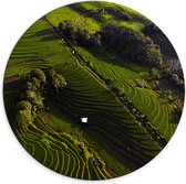 Dibond Muurcirkel - Bovenaanzicht van de Rijstvelden in Indonesië - 70x70 cm Foto op Aluminium Muurcirkel (met ophangsysteem)