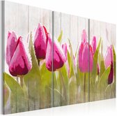 Schilderij - Tulpen in de lente , roze groen , 3 luik
