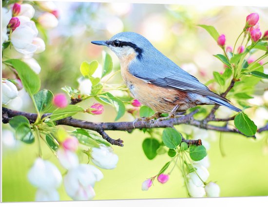 Foto's Van Snackcorner 't Vogeltje