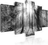 Schilderij - Herinneringen aan het Bos, 5luik, Zwart-Wit
