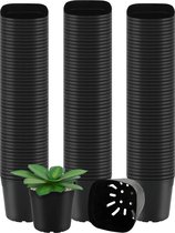 Belle Vous 150 Pak Vierkant Plastic Planten Zaai Potjes – 6,5 x 6,5 x 6,2 cm – Duurzame Bloemen Zaai Containers Voor Vetplanten, Groentes, Binnen en Buiten Tuinen en Zaadspruiten
