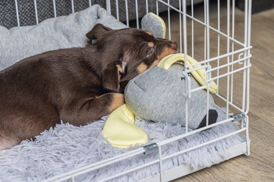 Bruine puppy slaapt in een grijze knuffelhond met gele oren in een bench.