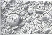 Acrylglas - Scheuren Patroon in Stenen Ondergrond - 90x60 cm Foto op Acrylglas (Met Ophangsysteem)