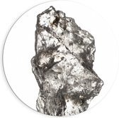 Dibond Muurcirkel - Groot Wit Doorzichtig Kristal tegen Witte Ondergrond - 90x90 cm Foto op Aluminium Muurcirkel (met ophangsysteem)