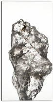 Dibond - Groot Wit Doorzichtig Kristal tegen Witte Ondergrond - 50x100 cm Foto op Aluminium (Wanddecoratie van metaal)