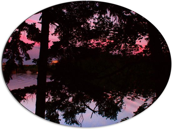 Dibond Ovaal - Silhouet van Bladeren aan Bomen bij Groot Meer tijdens Rozekleurige Zonsondergang - 80x60 cm Foto op Ovaal (Met Ophangsysteem)