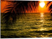 Dibond - Silhouet van Palmbladeren hangend boven de Zee tijdens Zonsondergang - 80x60 cm Foto op Aluminium (Wanddecoratie van metaal)