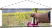Textielposter - Rode Uien in Hand van Boer bij Weiland - 90x30 cm Foto op Textiel