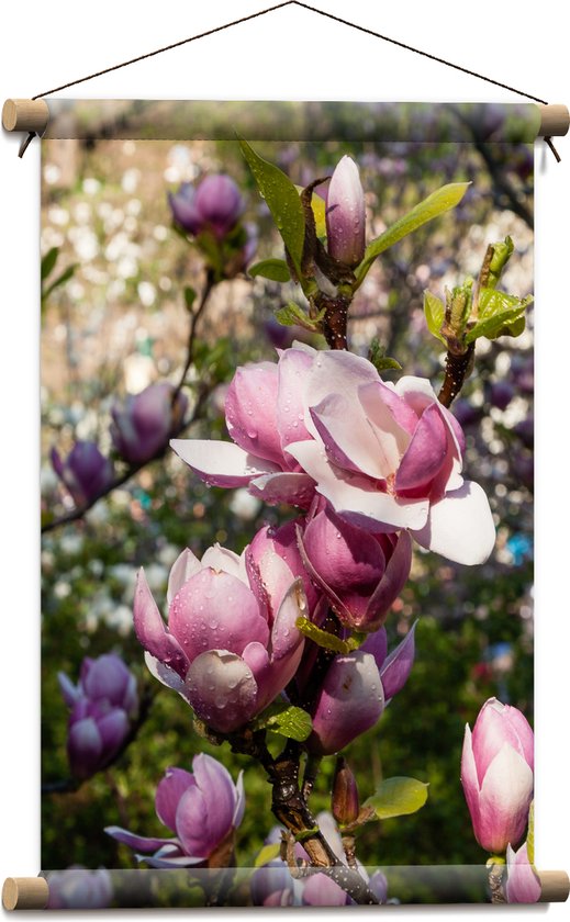 Textielposter - Roze Magnolia Bloemen aan Struik in het Veld - 40x60 cm Foto op Textiel