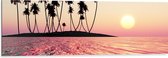 Dibond - Silhouet van Palmbomen op Onbewoond Eiland in de Oceaan bij Zonsondergang - 120x40 cm Foto op Aluminium (Wanddecoratie van metaal)