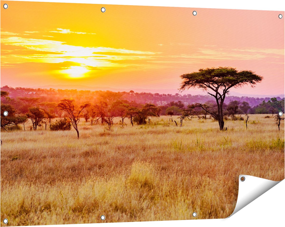 Gards Tuinposter Zonsondergang in de Savanne - 120x80 cm - Tuindoek - Tuindecoratie - Wanddecoratie buiten - Tuinschilderij Multikleur