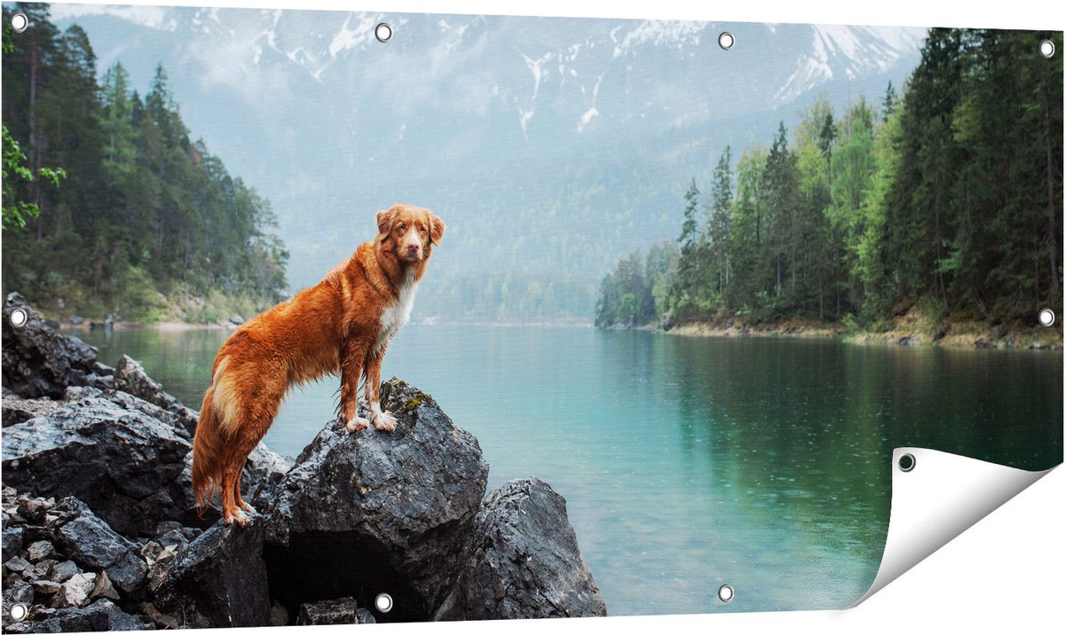 Gards Tuinposter Retriever Hond bij het Water in de Bergen - 120x60 cm - Tuindoek - Tuindecoratie - Wanddecoratie buiten - Tuinschilderij Multikleur