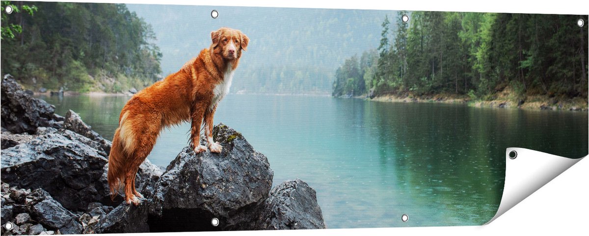 Gards Tuinposter Retriever Hond bij het Water in de Bergen - 150x50 cm - Tuindoek - Tuindecoratie - Wanddecoratie buiten - Tuinschilderij Multikleur