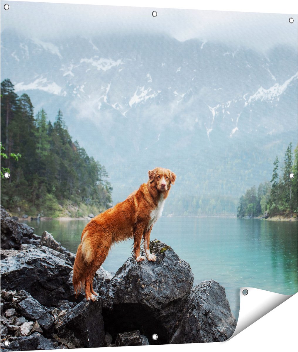 Gards Tuinposter Retriever Hond bij het Water in de Bergen - 100x100 cm - Tuindoek - Tuindecoratie - Wanddecoratie buiten - Tuinschilderij Multikleur