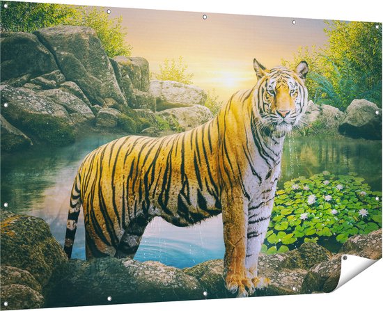 Gards Tuinposter Luipaard in een Vijver bij Zonsondergang - 180x120 cm - Tuindoek - Tuindecoratie - Wanddecoratie buiten - Tuinschilderij