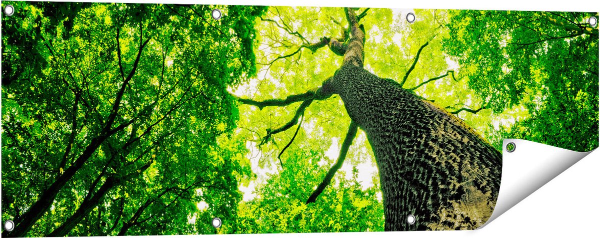Gards Tuinposter Boom in het Bos met Fel Groene Bladeren - 120x40 cm - Tuindoek - Tuindecoratie - Wanddecoratie buiten - Tuinschilderij Multikleur