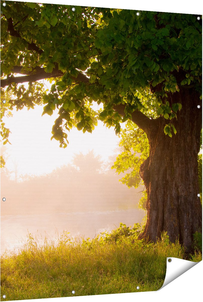 Gards Tuinposter Eikenboom aan het Water met Volle Bladeren - 120x150 cm - Tuindoek - Tuindecoratie - Wanddecoratie buiten - Tuinschilderij Multikleur