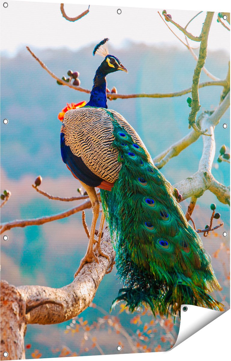 Gards Tuinposter Pauw in de Bomen - 90x120 cm - Tuindoek - Tuindecoratie - Wanddecoratie buiten - Tuinschilderij Multikleur