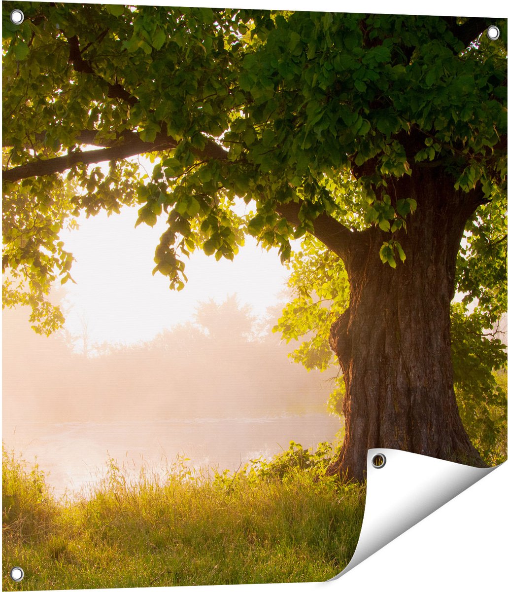 Gards Tuinposter Eikenboom aan het Water met Volle Bladeren - 70x70 cm - Tuindoek - Tuindecoratie - Wanddecoratie buiten - Tuinschilderij Multikleur