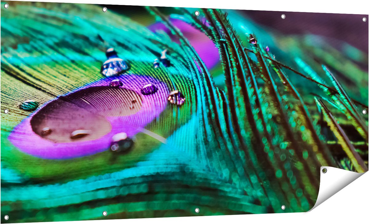 Gards Tuinposter Kleurrijke Pauw Veer met Waterdruppels - 160x80 cm - Tuindoek - Tuindecoratie - Wanddecoratie buiten - Tuinschilderij Multikleur