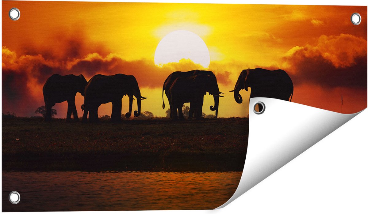 Gards Tuinposter Silhouet Olifanten tijdens Zonsondergang - 60x30 cm - Tuindoek - Tuindecoratie - Wanddecoratie buiten - Tuinschilderij Multikleur