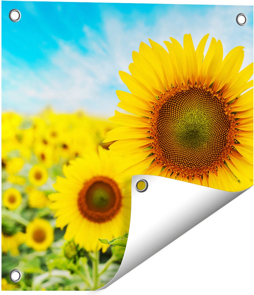Gards Tuinposter Zonnebloemen Veld - 40x40 cm - Tuindoek - Tuindecoratie - Wanddecoratie buiten - Tuinschilderij Multikleur