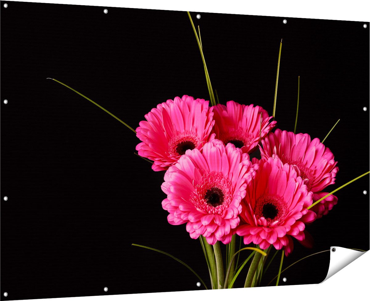Gards Tuinposter Roze Gerbera Bloemen - 180x120 cm - Tuindoek - Tuindecoratie - Wanddecoratie buiten - Tuinschilderij Multikleur