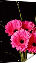 Gards Tuinposter Roze Gerbera Bloemen - 80x120 cm - Tuindoek - Tuindecoratie - Wanddecoratie buiten - Tuinschilderij