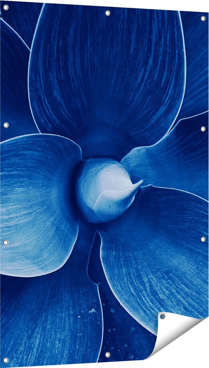 Gards Tuinposter Blauwe Agave Plant - Bloem - 80x120 cm - Tuindoek - Tuindecoratie - Wanddecoratie buiten - Tuinschilderij Multikleur