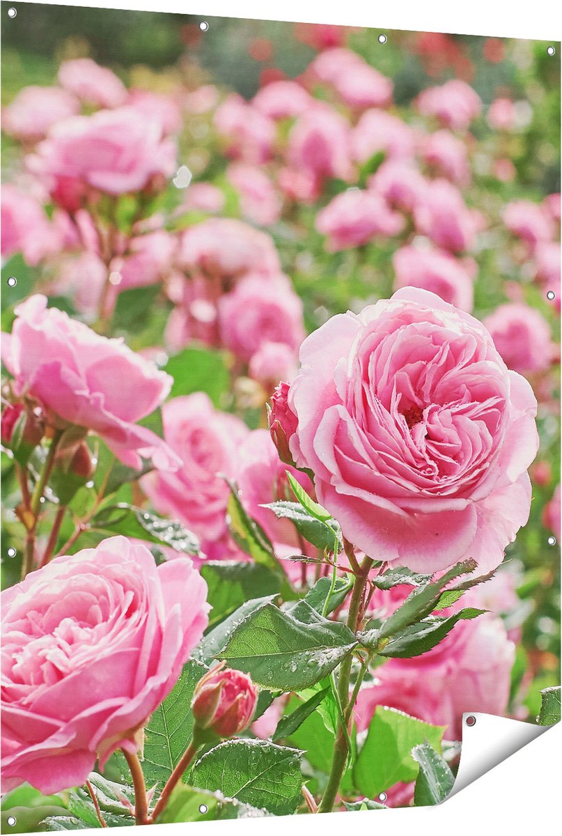 Gards Tuinposter Roze Rozen Bloemenveld - 120x150 cm - Tuindoek - Tuindecoratie - Wanddecoratie buiten - Tuinschilderij Multikleur