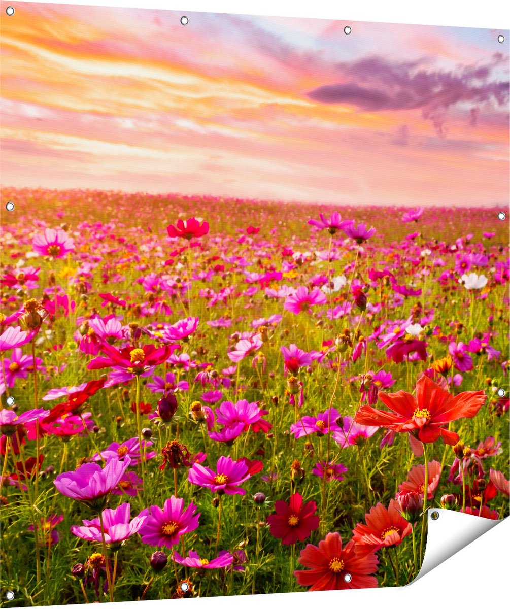Gards Tuinposter Kleurrijke Kosmos Bloemenveld - 120x120 cm - Tuindoek - Tuindecoratie - Wanddecoratie buiten - Tuinschilderij Multikleur