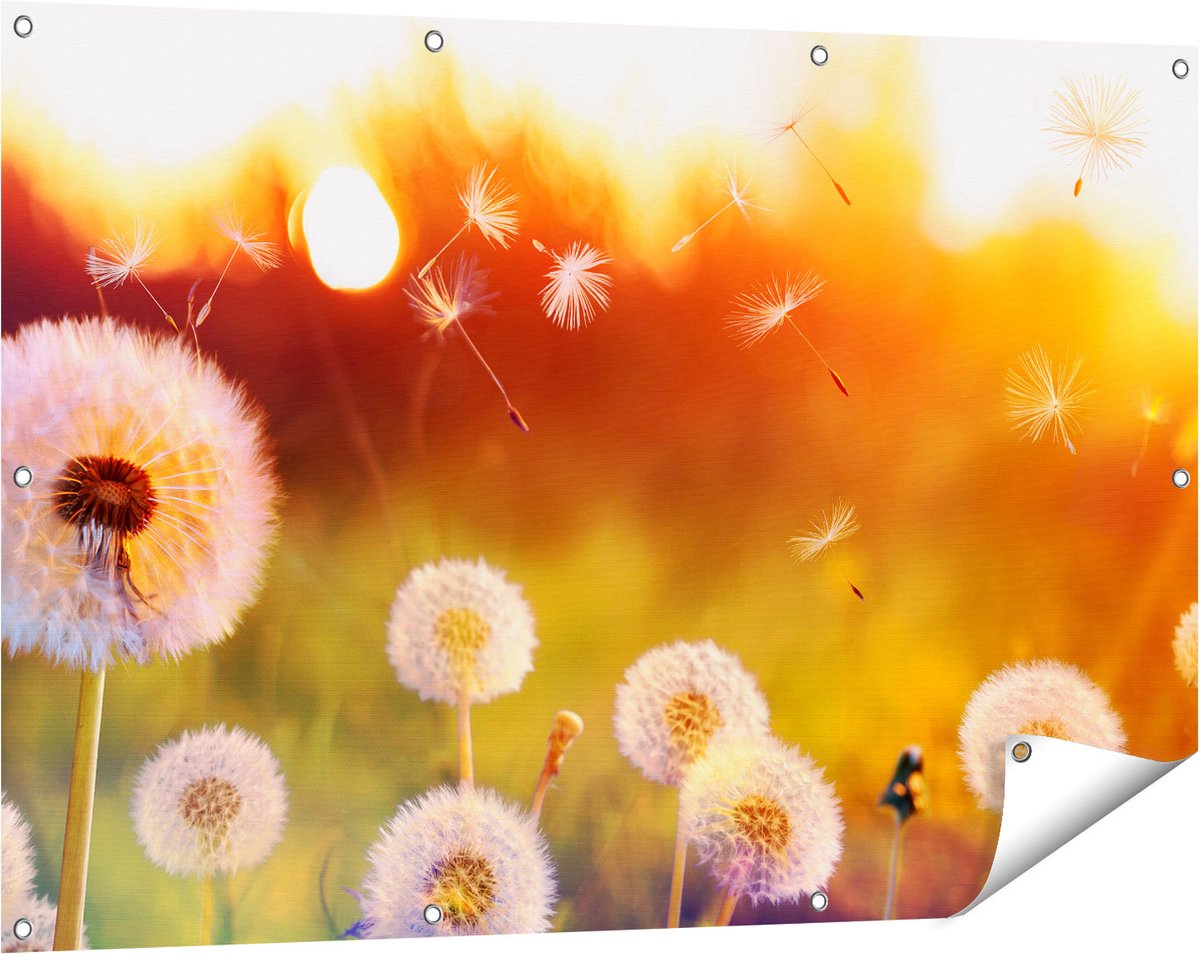 Gards Tuinposter Paardenbloemen tijdens Zonsondergang - 120x80 cm - Tuindoek - Tuindecoratie - Wanddecoratie buiten - Tuinschilderij Multikleur