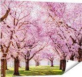 Gards Tuinposter Roze Bloesembomen Park - Bloemen - 100x80 cm - Tuindoek - Tuindecoratie - Wanddecoratie buiten - Tuinschilderij