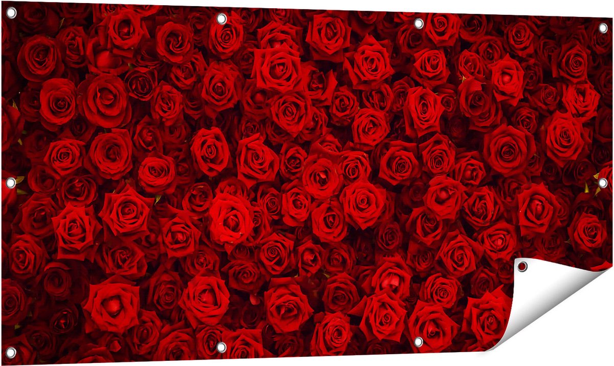 Gards Tuinposter Rode Rozen Achtergrond - 120x60 cm - Tuindoek - Tuindecoratie - Wanddecoratie buiten - Tuinschilderij Multikleur