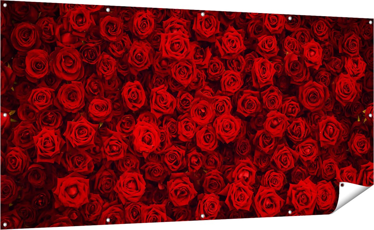 Gards Tuinposter Rode Rozen Achtergrond - 200x100 cm - Tuindoek - Tuindecoratie - Wanddecoratie buiten - Tuinschilderij Multikleur